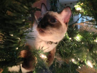dragon xmas tree